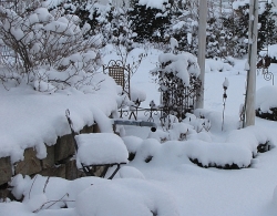 Schnee im Garten, Januar